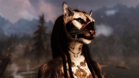 khajiit follower|female khajiit follower.